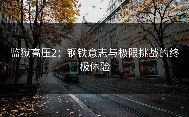 监狱高压2：钢铁意志与极限挑战的终极体验