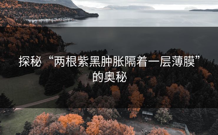 探秘“两根紫黑肿胀隔着一层薄膜”的奥秘