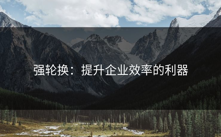 强轮换：提升企业效率的利器