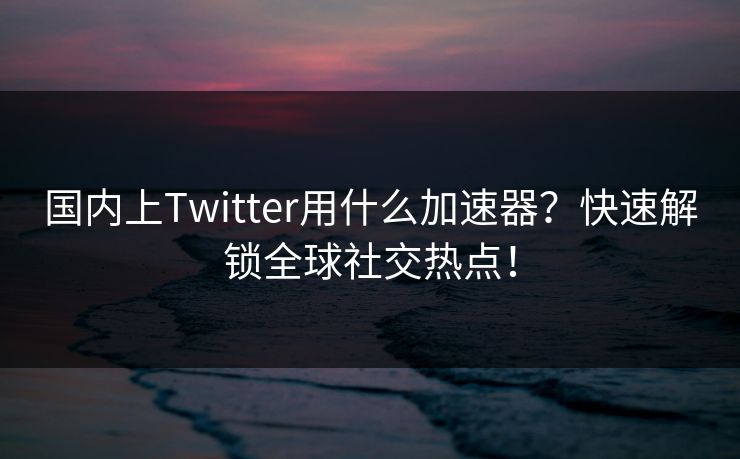 国内上Twitter用什么加速器？快速解锁全球社交热点！