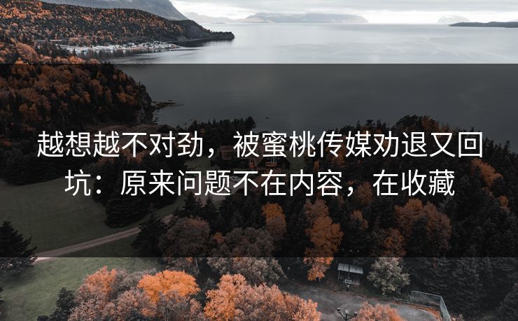 越想越不对劲，被蜜桃传媒劝退又回坑：原来问题不在内容，在收藏